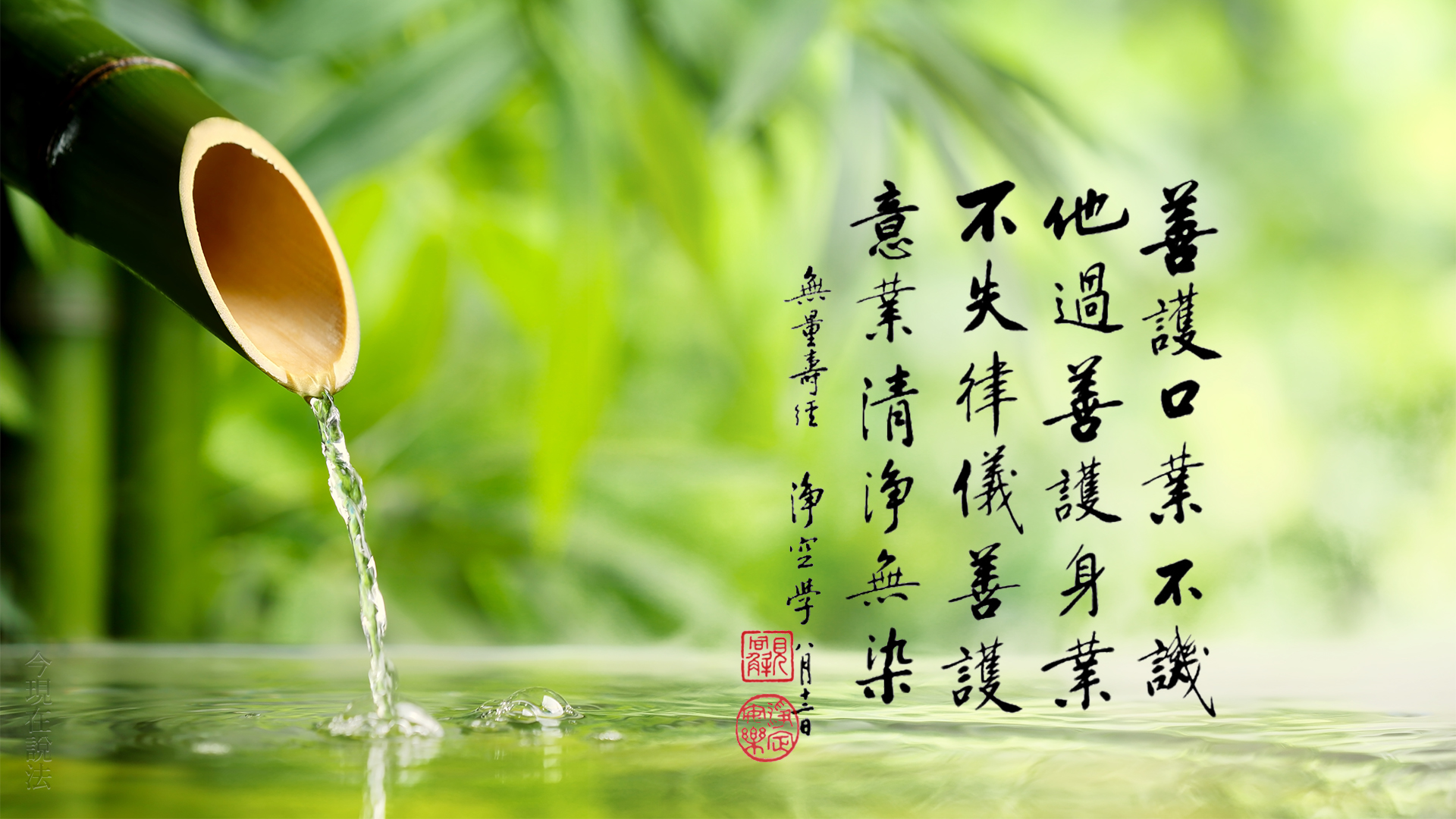 什麼是善？惡？淨？染？罪？福？