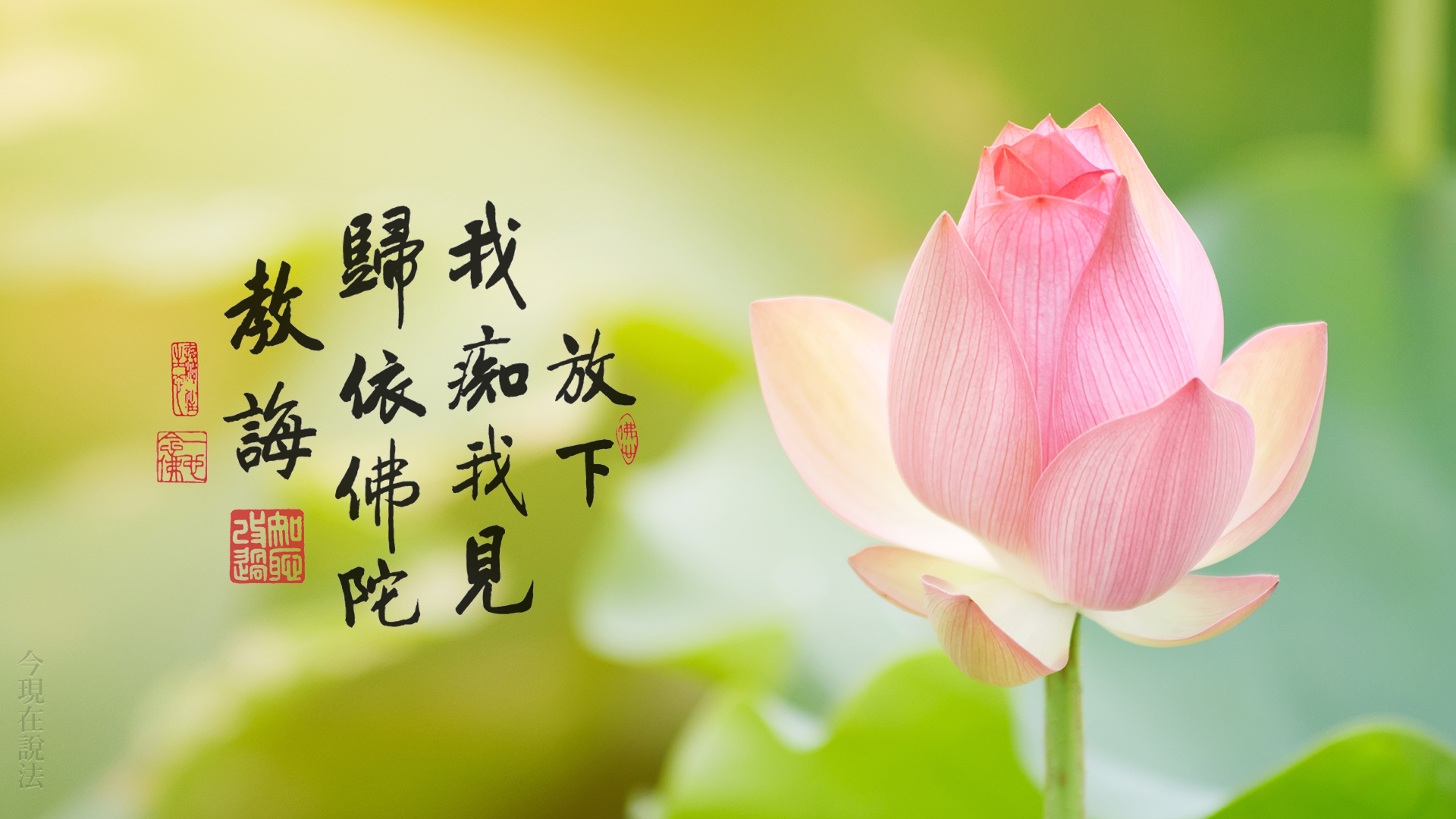 「佛菩薩加持」就是自己的真性在保佑自己，對嗎