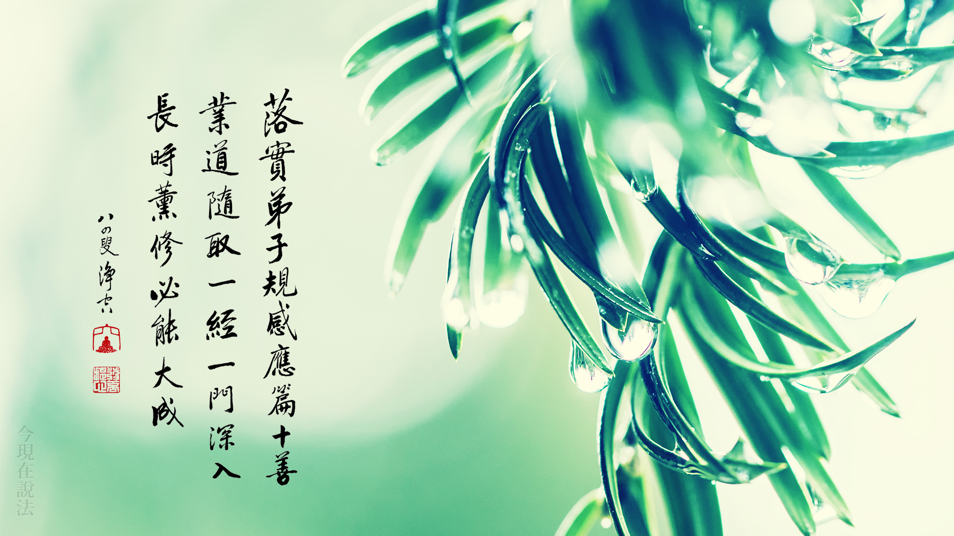 如何知道自己處世待人是否合乎佛菩薩的標準？