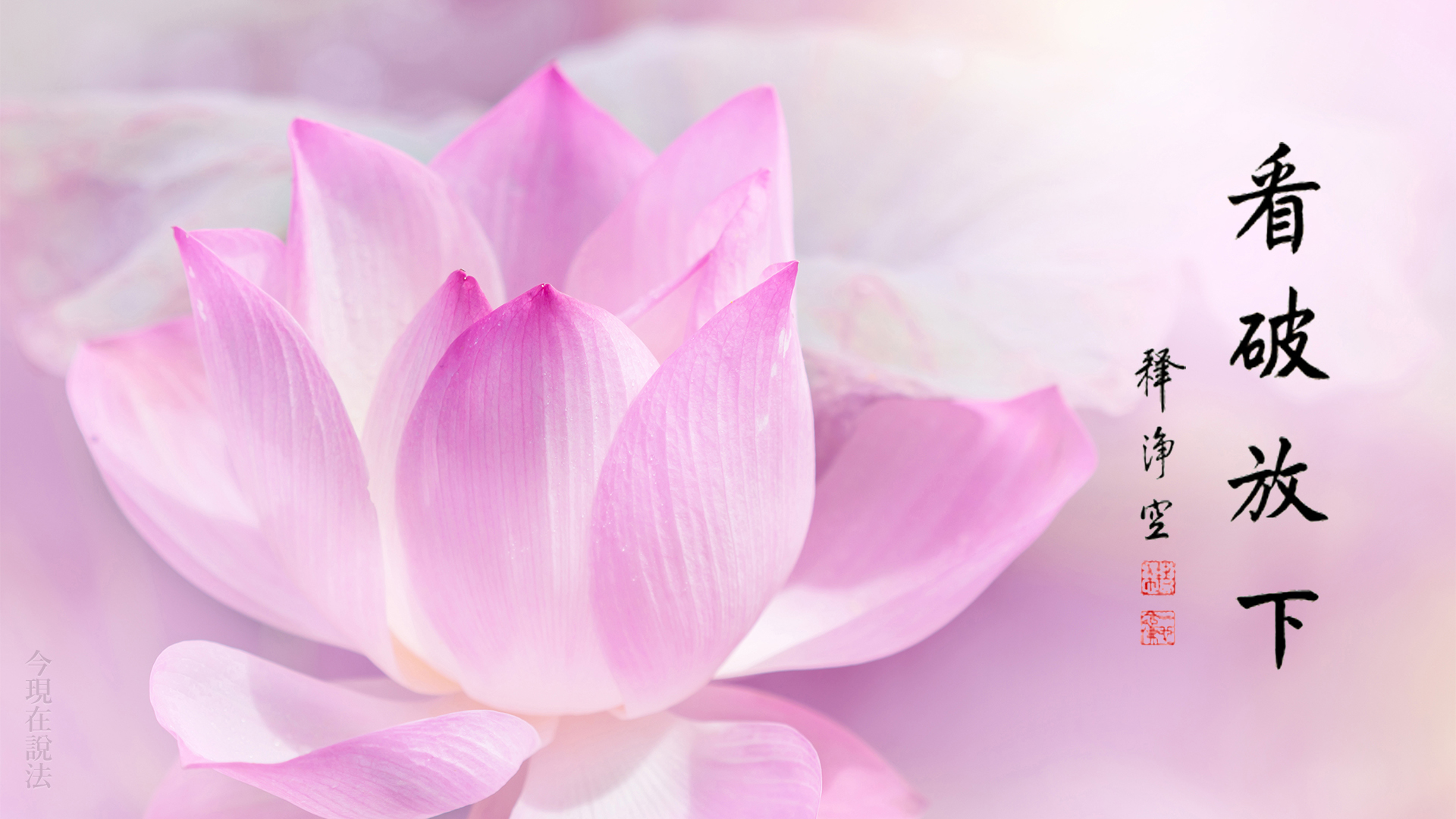 如是我聞 | 公修公得，婆修婆得，不修不得