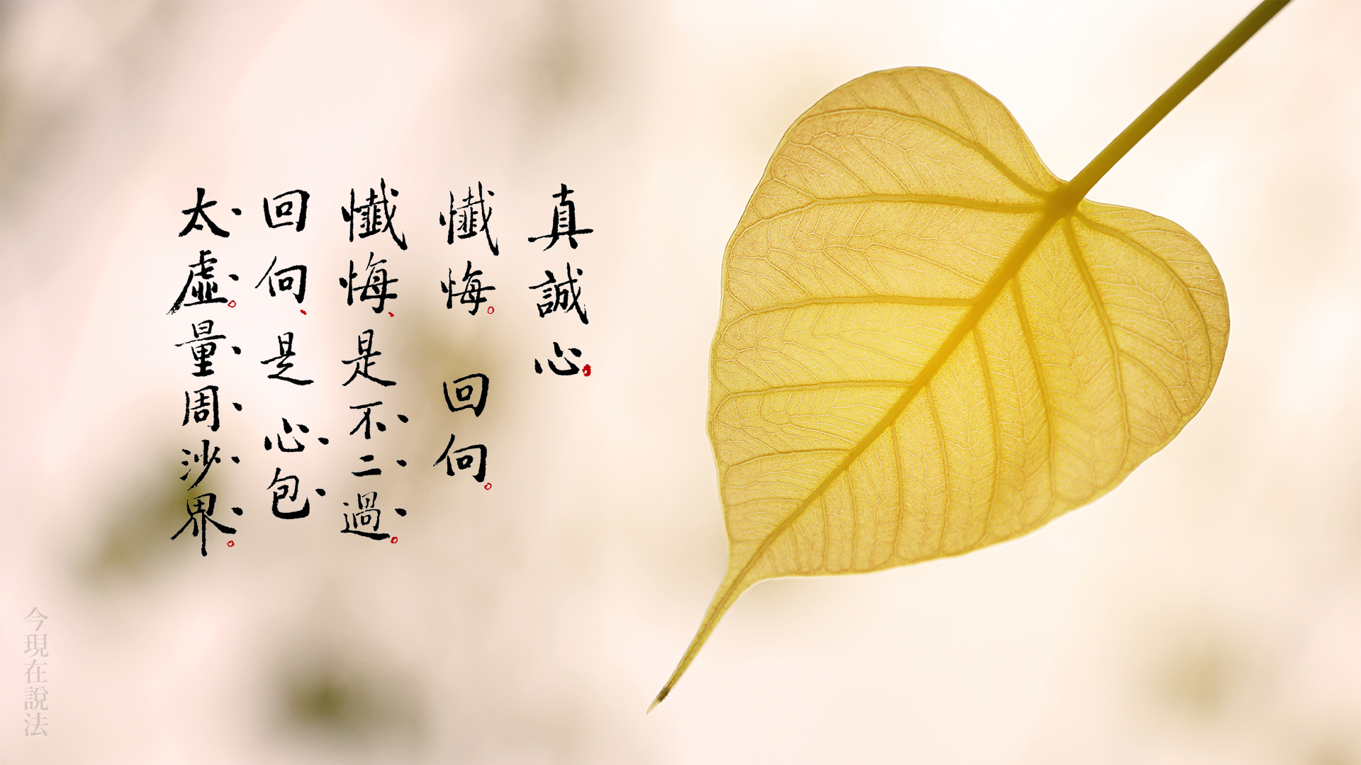 過敏性鼻炎是冤業病嗎？