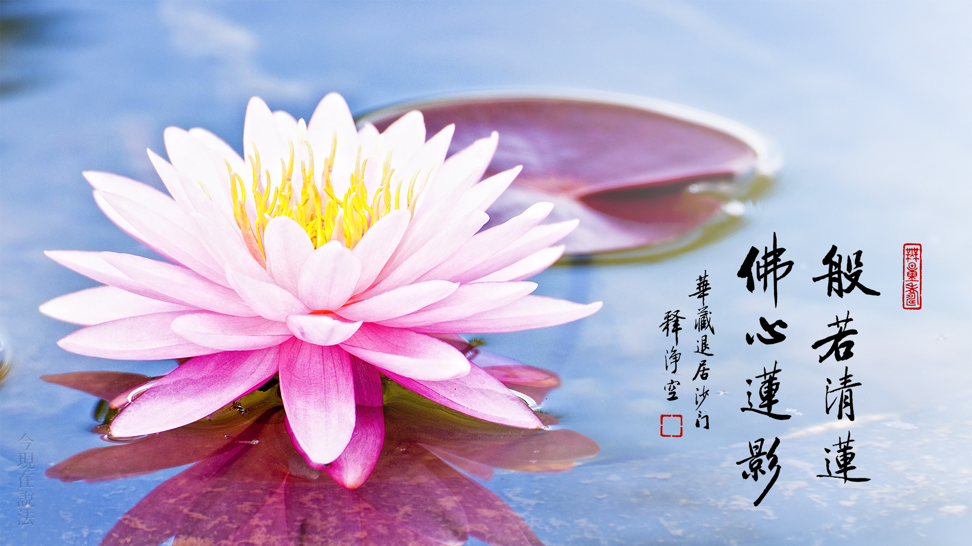 極樂世界的蓮花是怎麼來的？