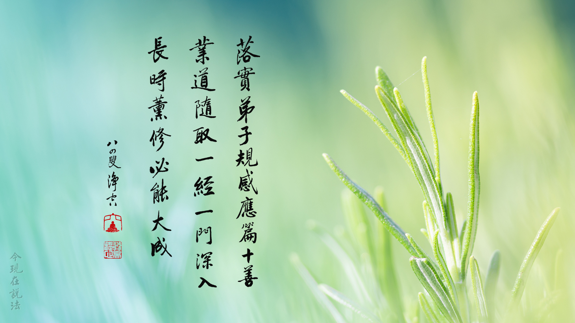 在學校落實《弟子規》被人笑話，怎麼辦？