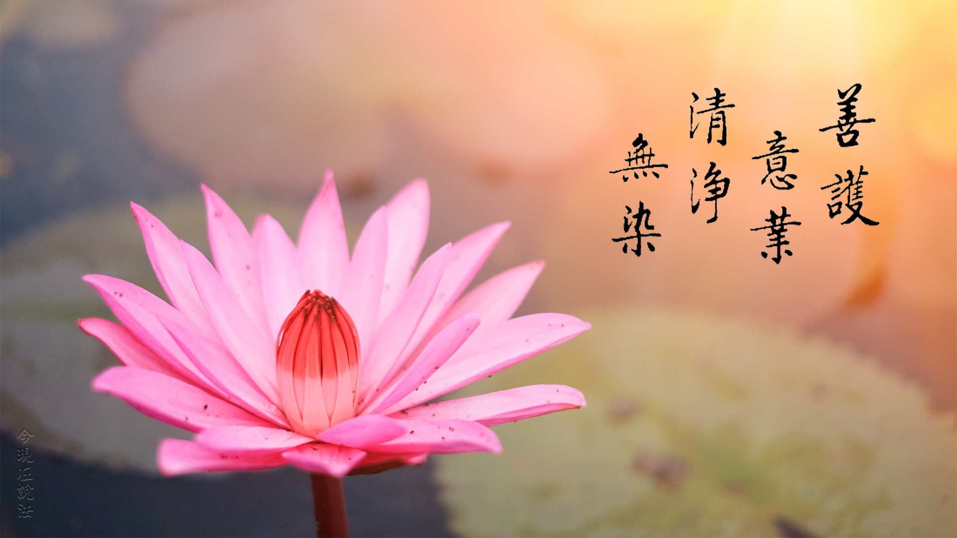 煩惱不要刻意去斷，心有彌陀煩惱就不見了