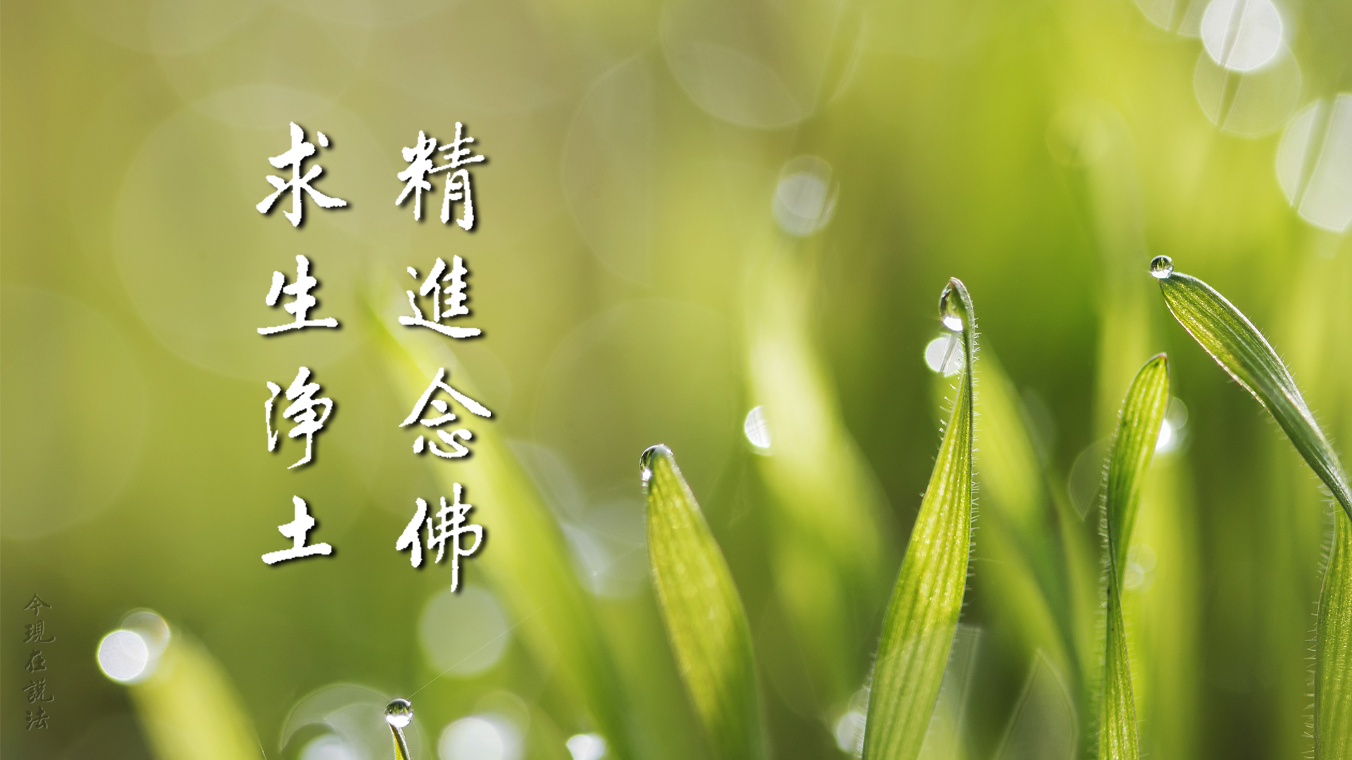 學佛答問 | 「執著」 與 「精進」的區別是什麼？