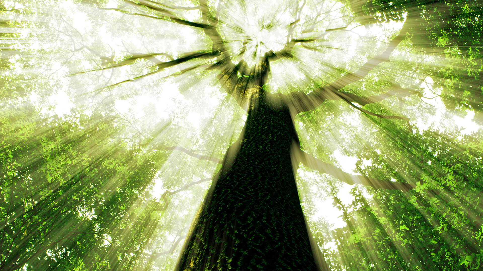 聯合國教科文組織「全球祭祖大典」談話——提倡孝道 促進和平