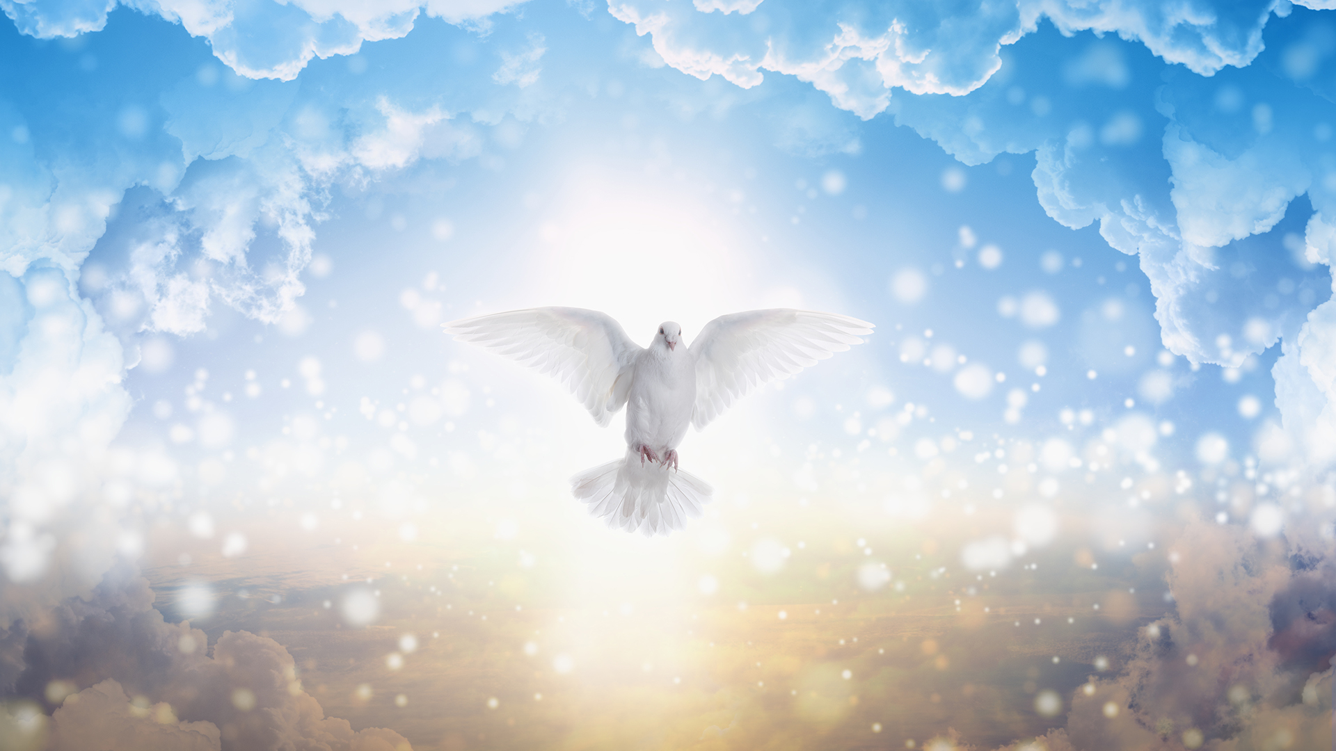 發揚宗教教育 促進安定和平