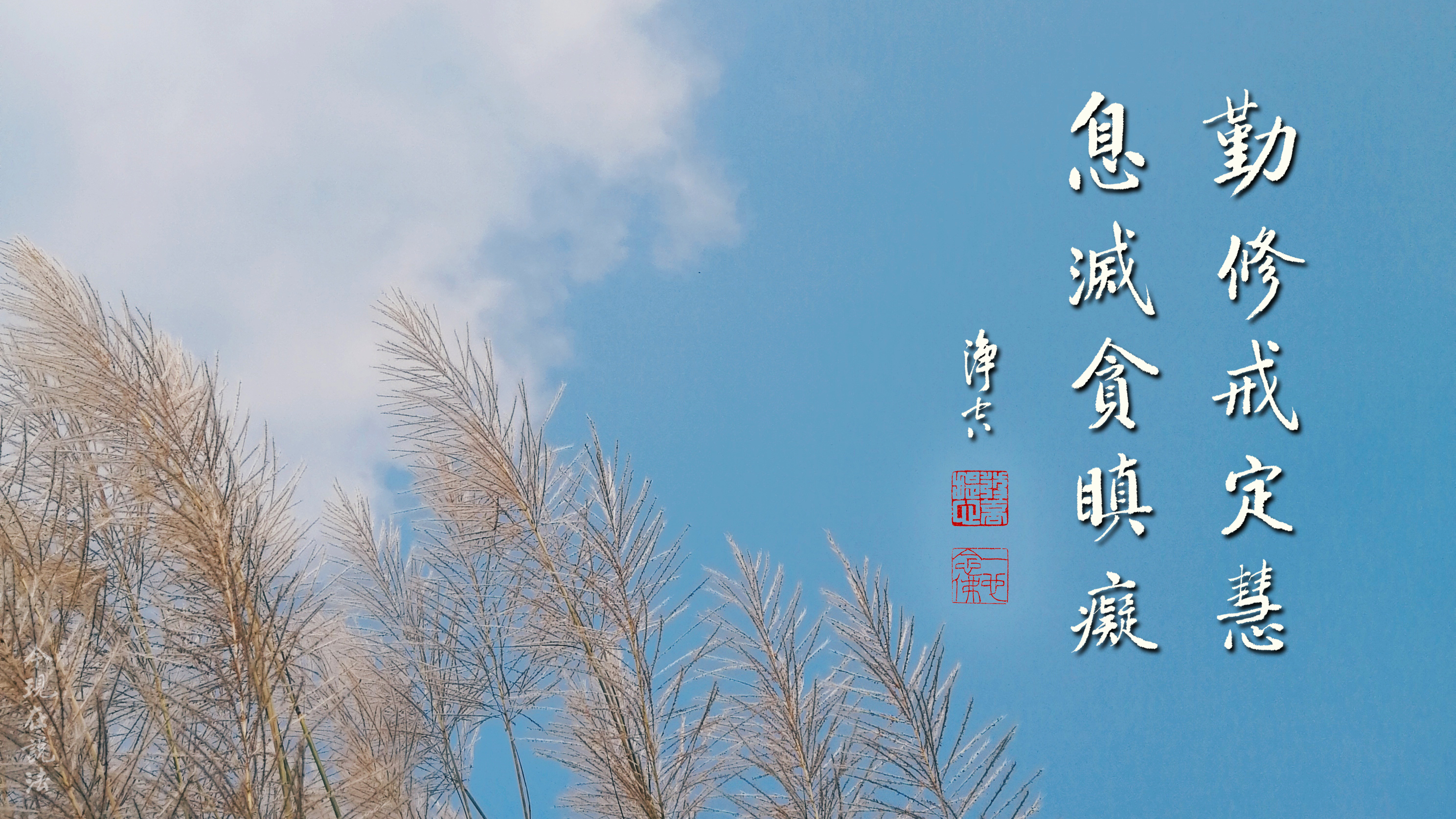 學佛答問 | 年紀大的同修，冬天為了保暖，戴帽子上殿如法嗎？