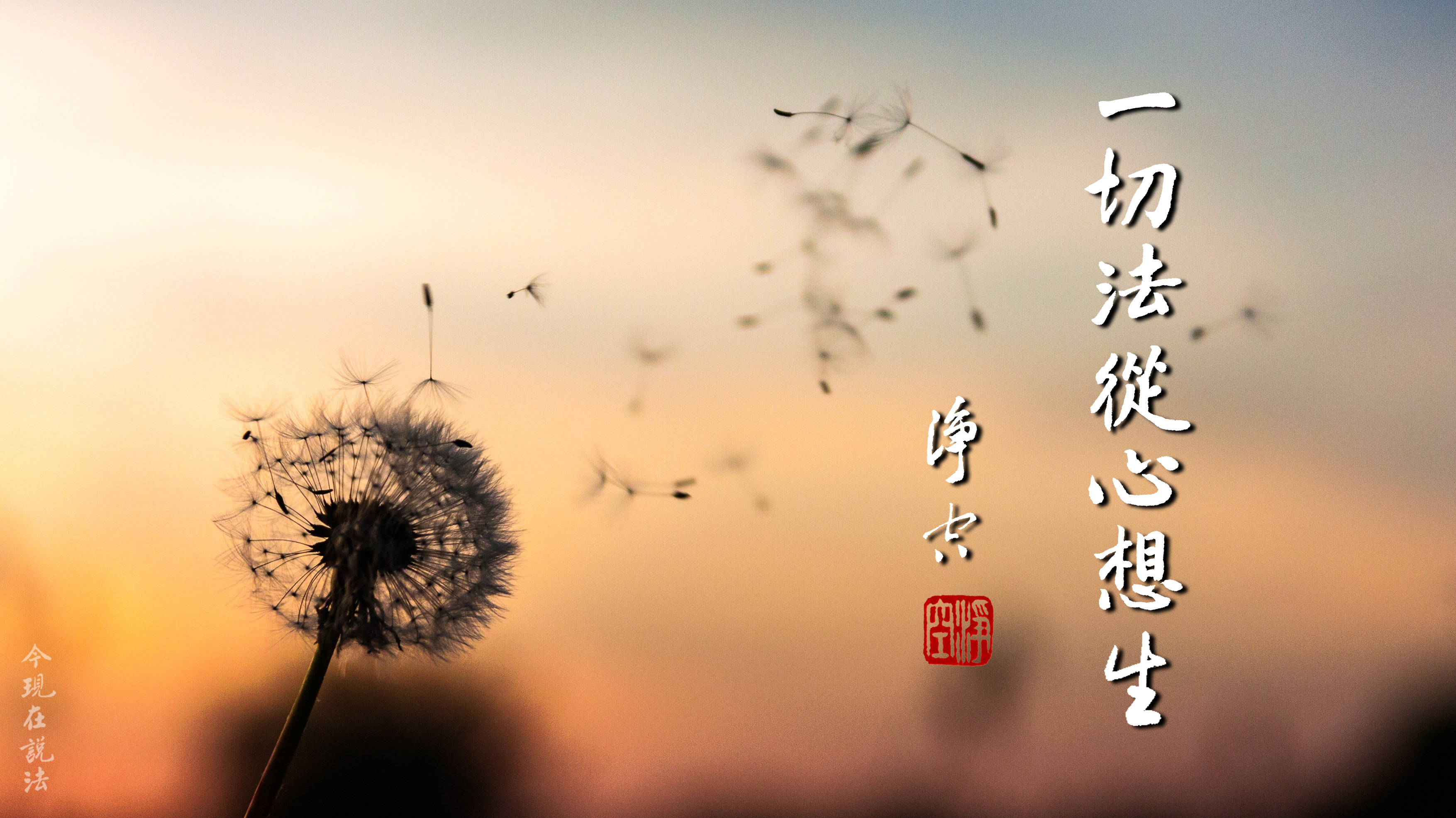 學佛答問 | 學佛者應以什麼樣的心態面對癌症和絕症？
