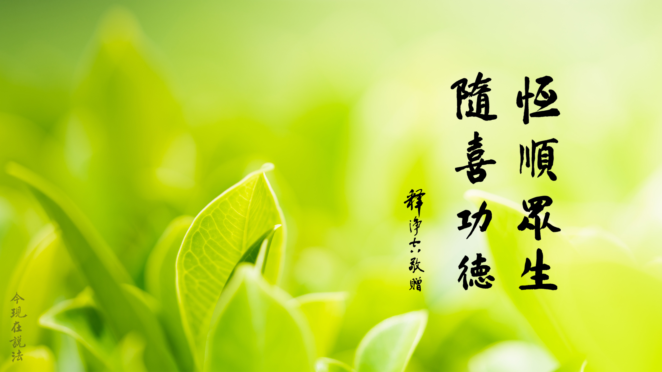 用什麼樣的心態來對待法寶的流通？