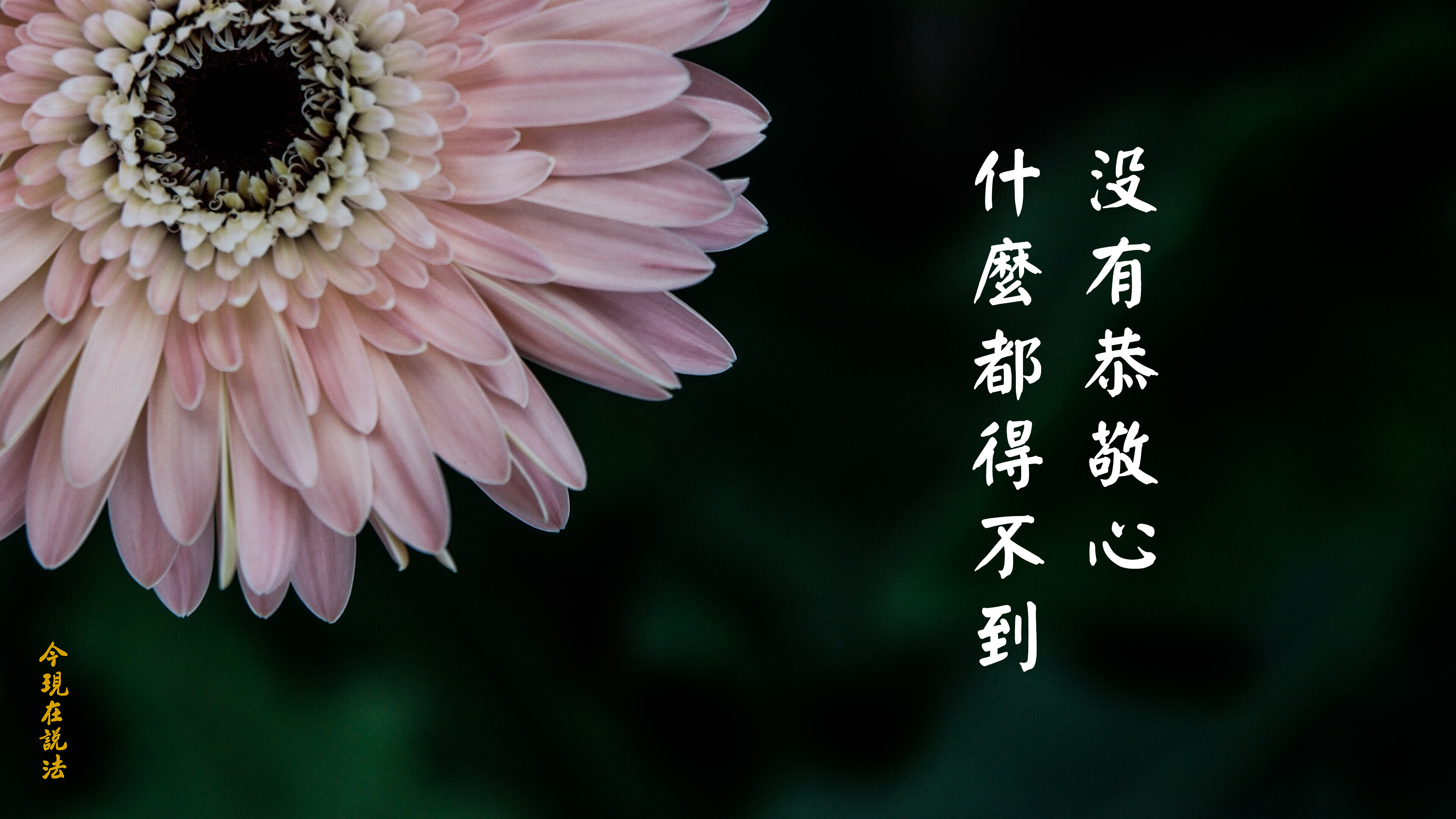 沒有恭敬心 什麼都得不到